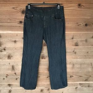 Jag Jeans High Rise Boot Leg Pull On Jeans Size 14P